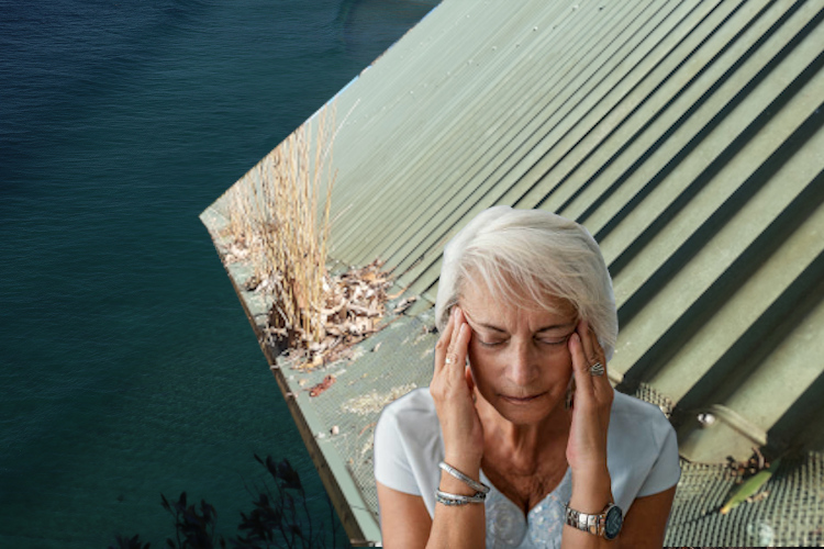 Capturing Gutter Guard Failure: Woman`s Discontent in batemansbay