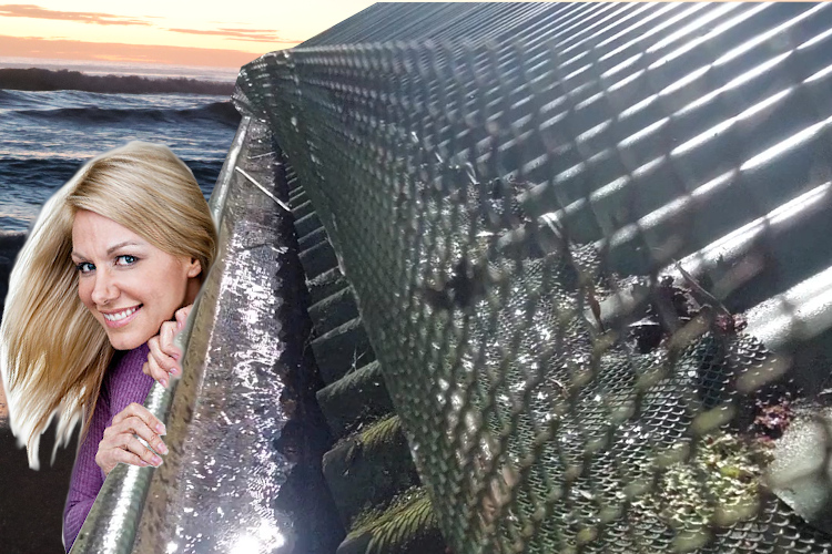 batemansbay Woman Takes a Closer Look at Gutter Guard-Protected Cleaned Gutter