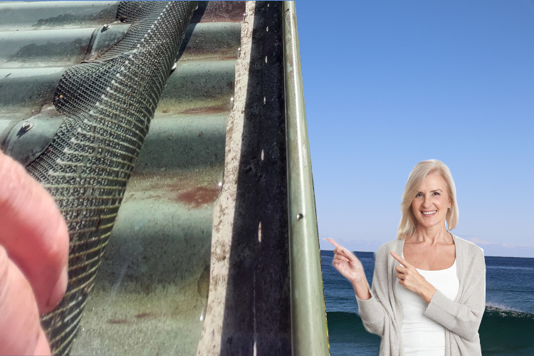 Gutter Guard Triumph: batemansbay Woman`s Delight in Cleaning Results